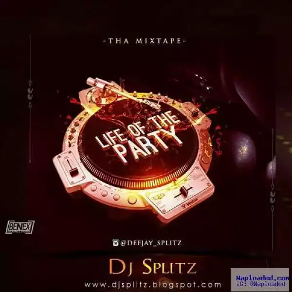 Dj Splitz - Life Of The Party Mix